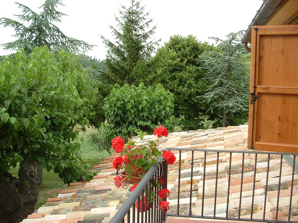 Agriturismo il Bacucco Montecarotto Exterior foto