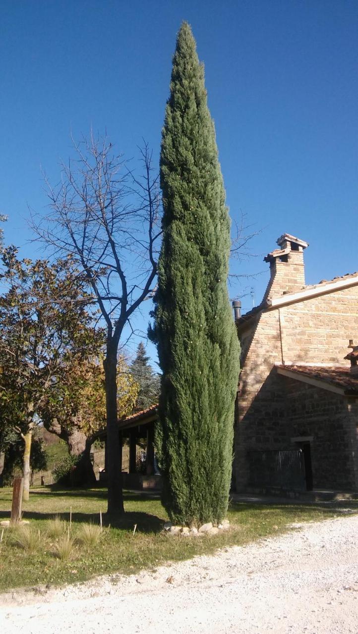 Agriturismo il Bacucco Montecarotto Exterior foto